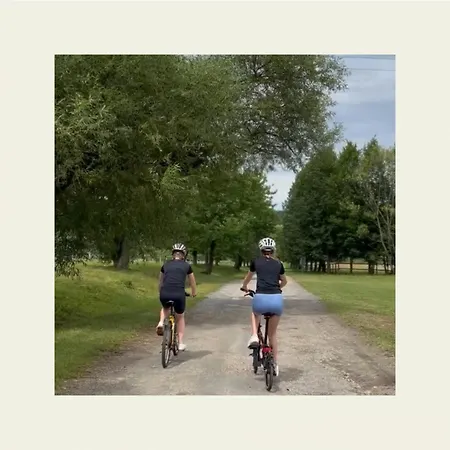 Statek Benice Guest house