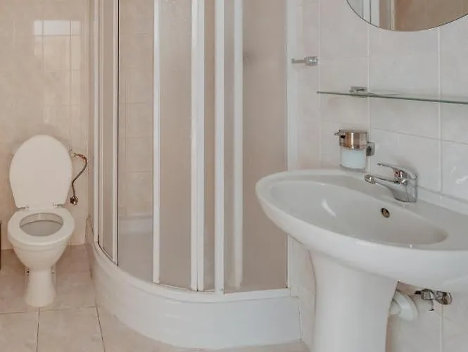 Guest house Statek Benice 3*