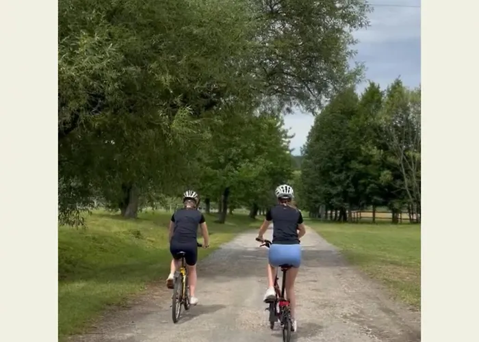 Statek Benice Guest house